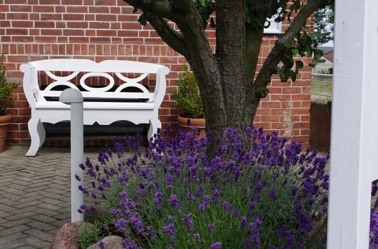 Appartement Gästehaus Kopp Wohnung Nr. 01 in Cuxhaven-Duhne