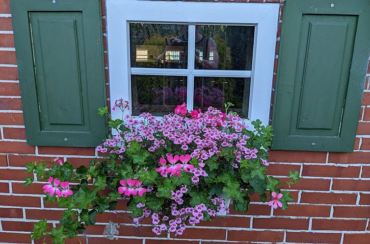 Appartement Landambiente Halbemond