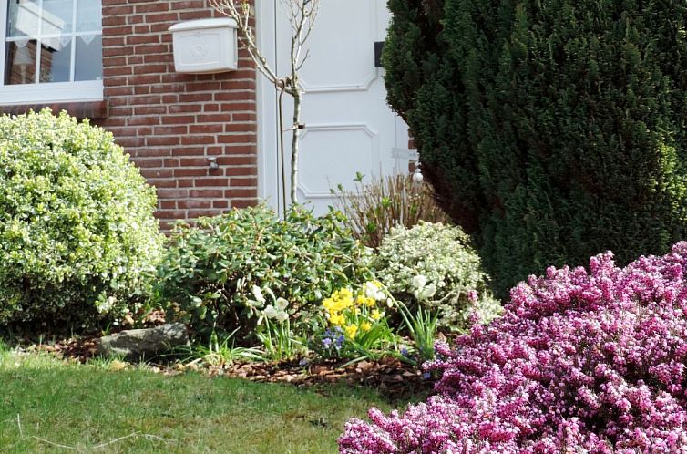 Vakantiehuis Dat luettje Huus 1