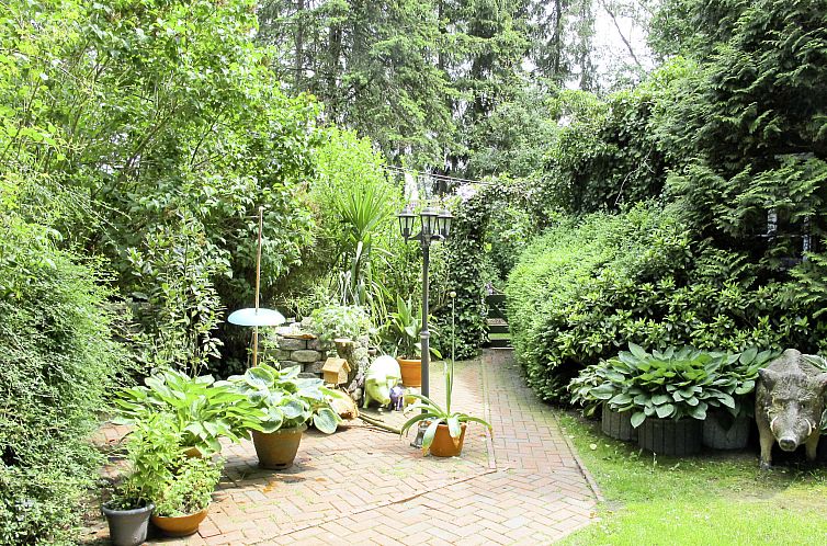 Appartement von Dollen