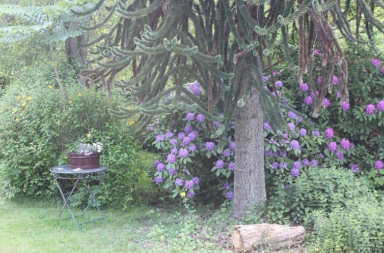 Vakantiehuis in Stollhamm mit Großem Garten
