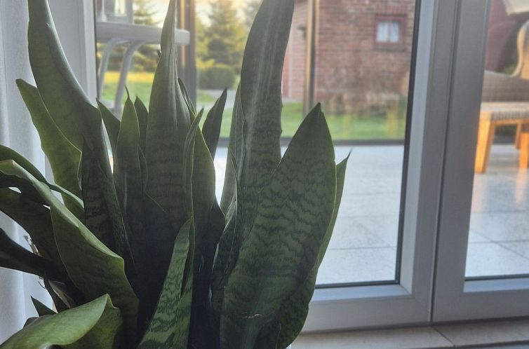 Vakantiehuis mit Wintergarten und Garten am Deich