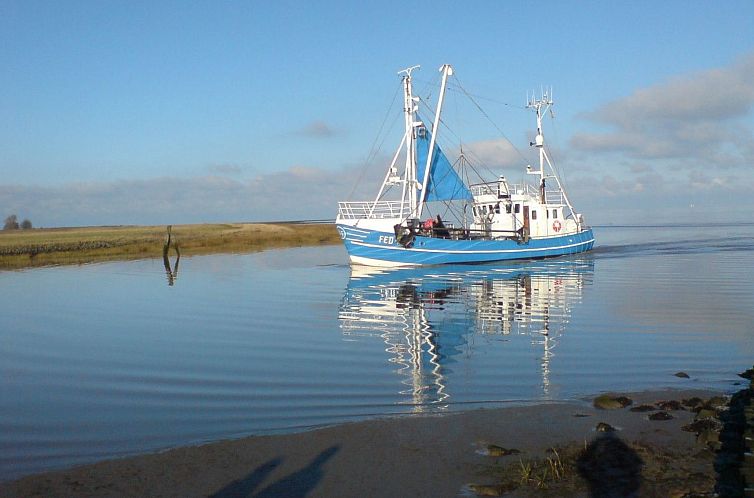 Appartement Appartement mit Dachterrasse