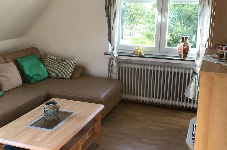 Appartement Große Wohnung in Nesse mit Garten und Terrasse