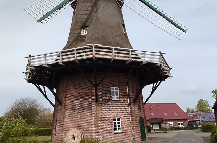 Appartement Haus am Kiessee - Mediterranes Flair mit Seeblic