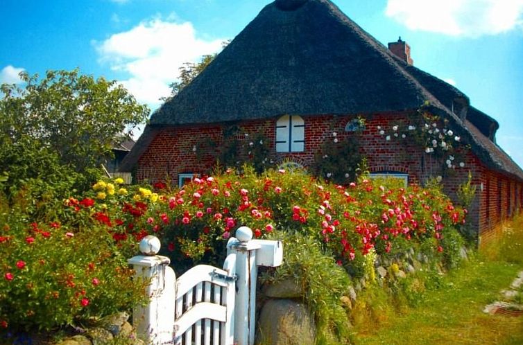 Guest house 0235341 - Apartment North Sea - Appartement Wohnung in einem reetgedeckten Friesenhaus aus d