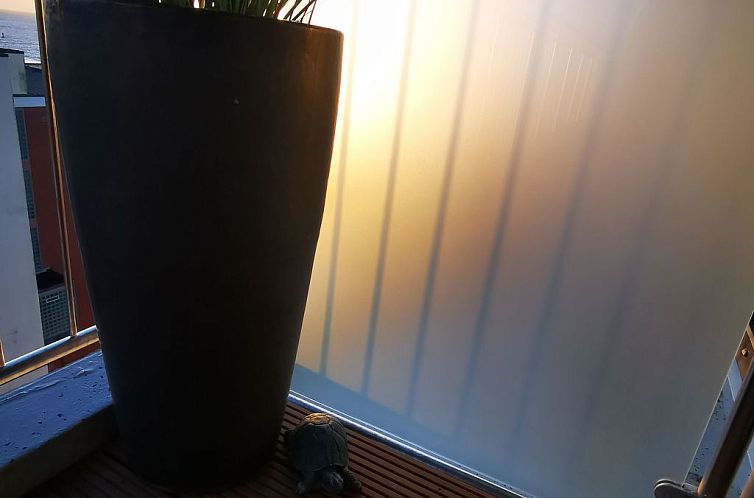 Appartement für 2 Personen  + 4 Kinder ca. 52 m&sup2; in No