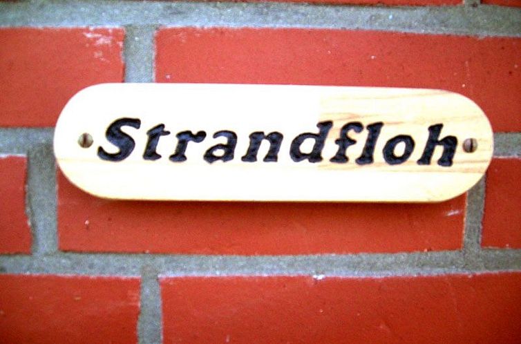 Appartement Strandfloh in Hörnum