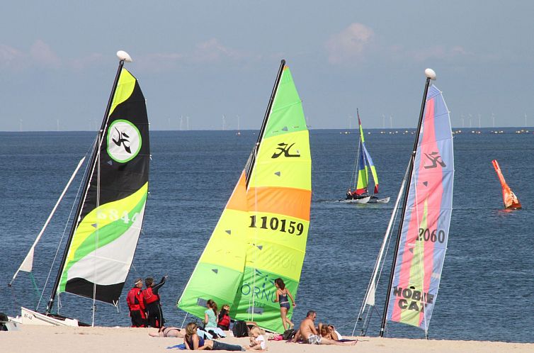 Appartement Strandfloh in Hörnum