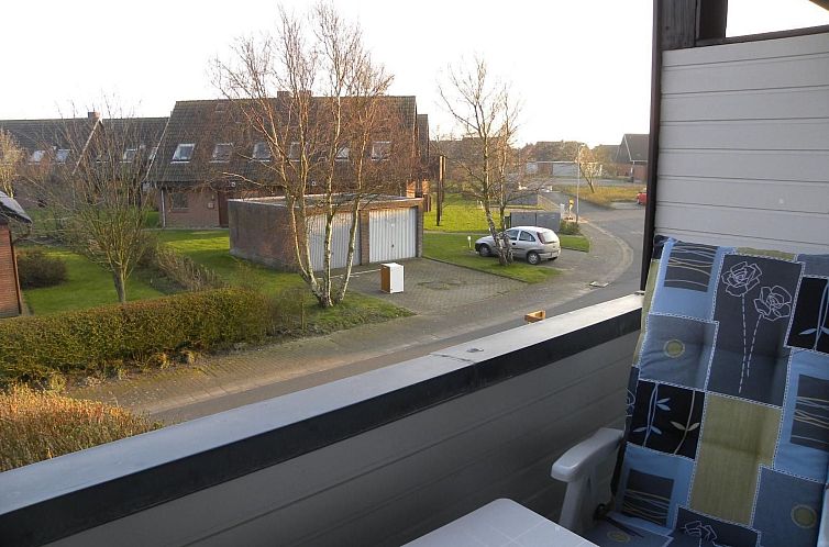 Appartement FeWo Austernfischer