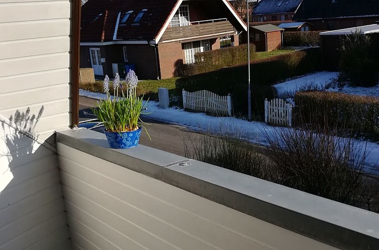 Appartement FeWo Austernfischer