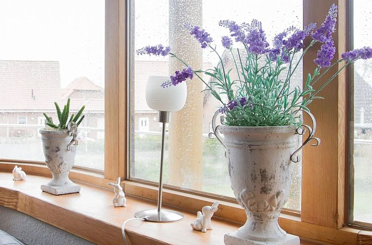 Appartement Moin-Moin in Friedrichskoog-Spitze