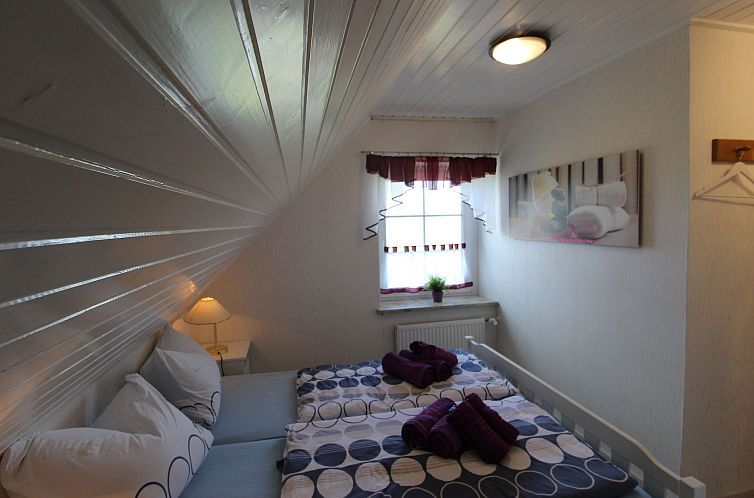Appartement "FeWo Herzmuschel"
