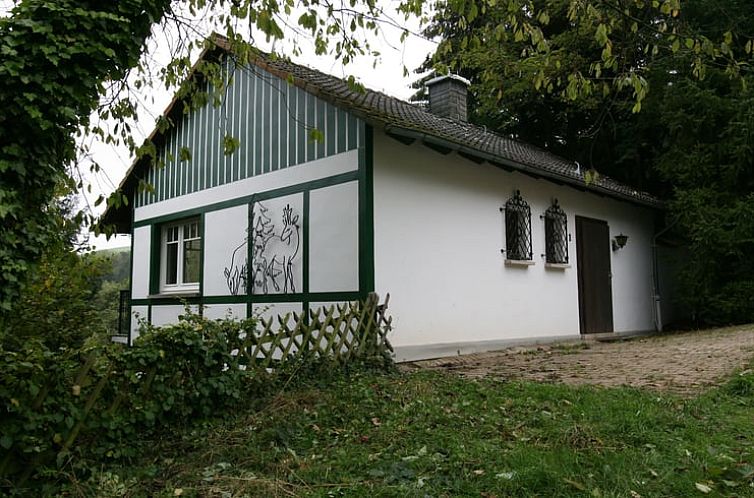 Rustic cottage in Willingen, Hesse, Germany, with picturesque green surroundings.