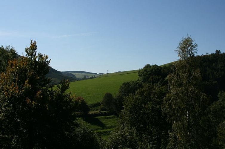 Vakantiehuisje in Willingen