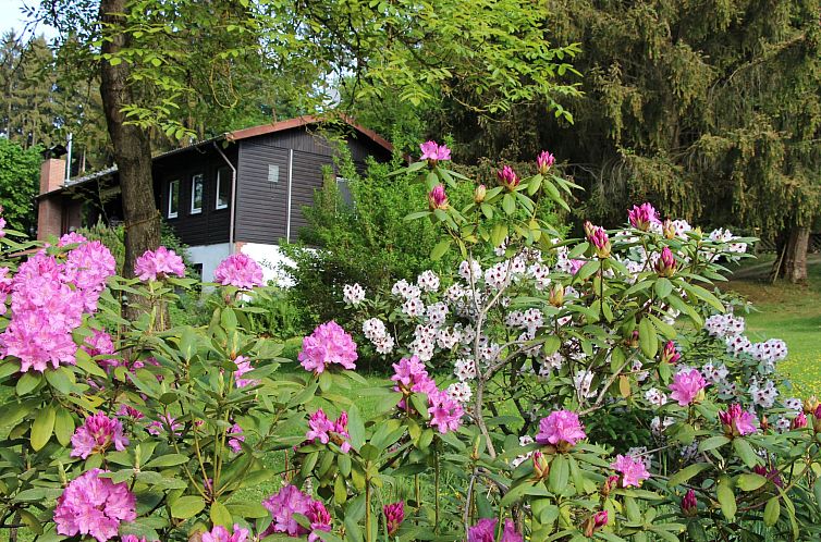 Vakantiehuis Ferienvilla mit eigener Sauna