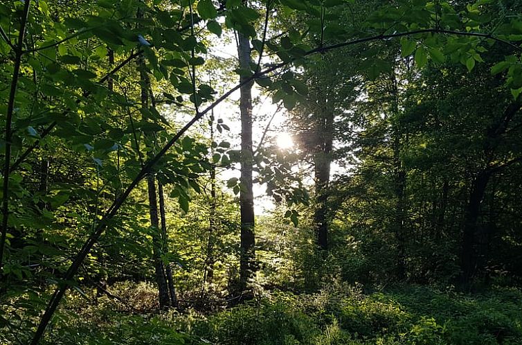 Vakantiehuisje in Mücke