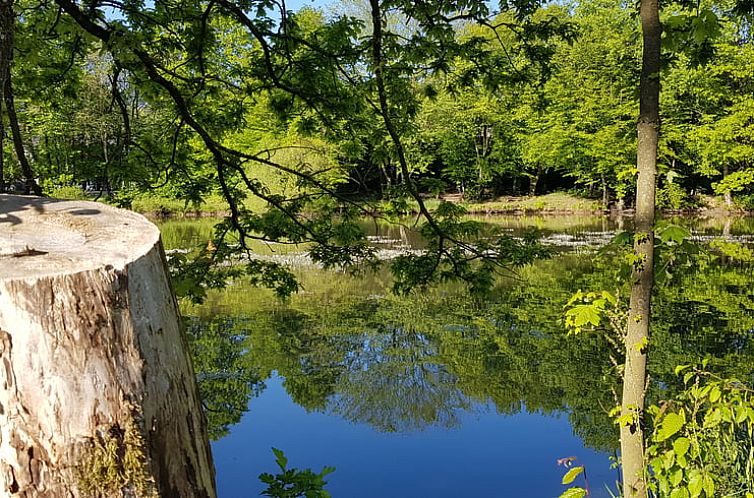 Vakantiehuisje in Mücke