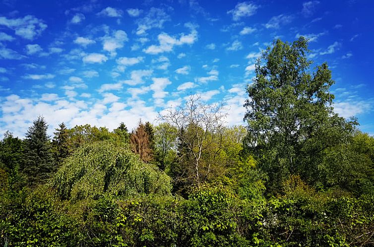 Vakantiehuisje in Mücke