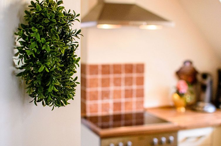 Appartement Gemütliche Wohnung in Bracht mit Garten