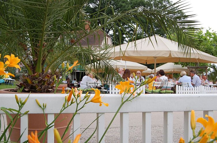 Appartement Rose Terrace