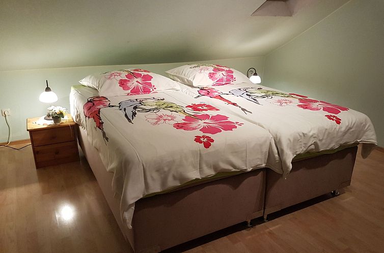 Appartement Apartment Laurence