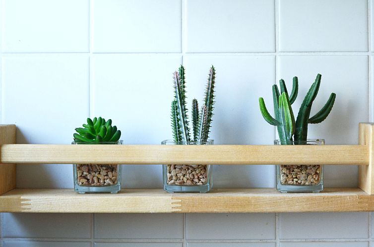 Vakantiehuis Dorf 4/ Haus 27