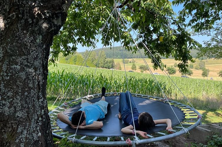 Huisje in Grasellenbach