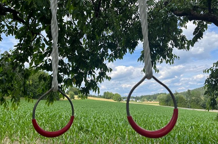 Huisje in Grasellenbach