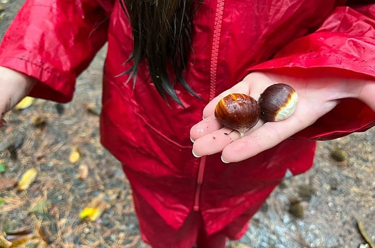 Huisje in Grasellenbach