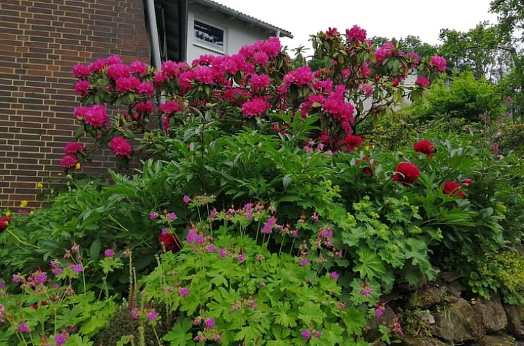 Huisje in Niedenstein