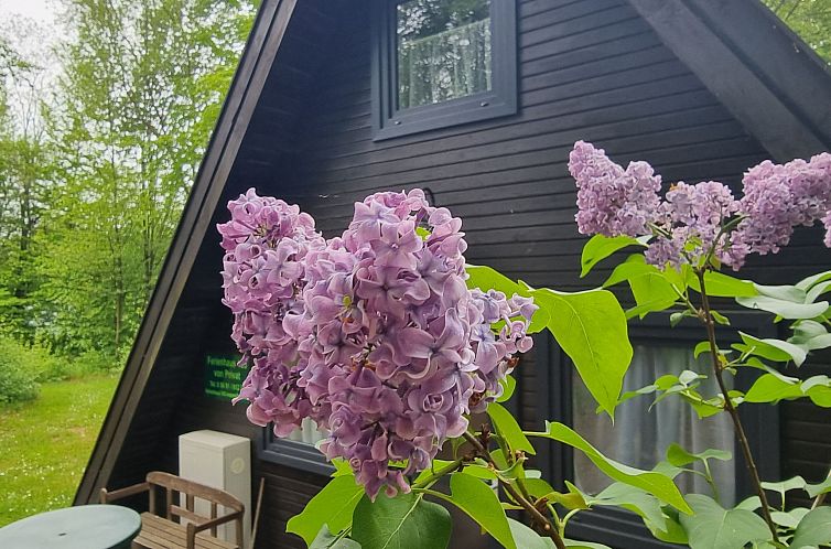 Vakantiehuis Marie 125