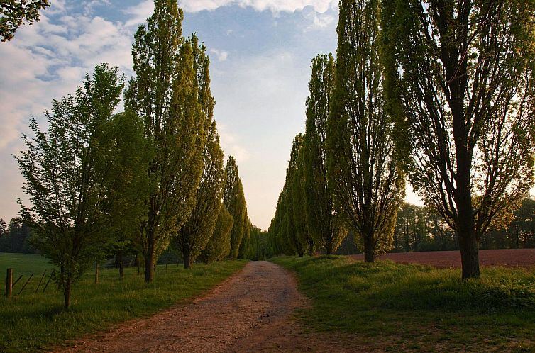 Appartement Fewo Hoppenhof 1