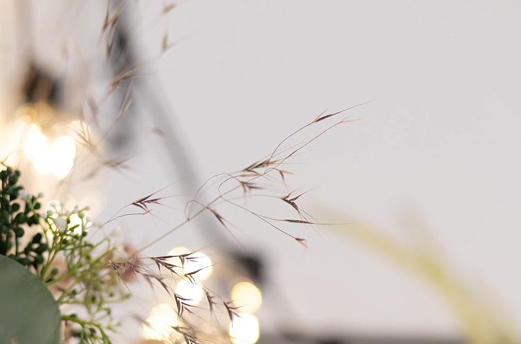 Appartement Apartment 54