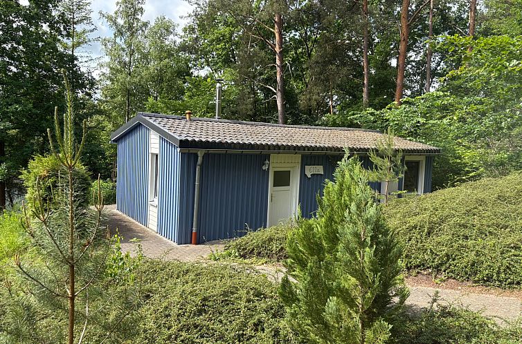 Unterkunft 02428601 - Ferienhaus Hessen - Vakantiehuis Waldhäuser