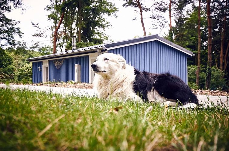 Vakantiehuis Waldhäuser