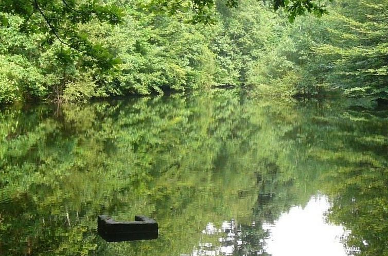 Appartement Großzügige Fewo im Künstlerhaus