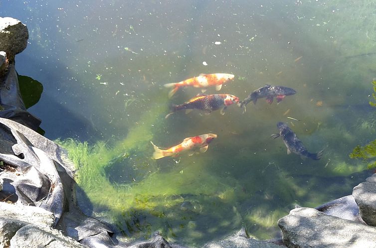 Vakantiehuis für sieben Personen