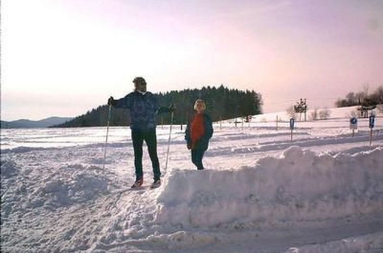 Vakantiehuis - Pension