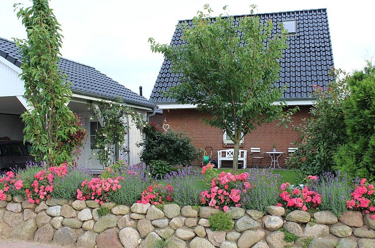 Guest house 0243106 - Holiday property Hessen - Vakantiehuis Ostseenahes, gemütliches Ferienhaus