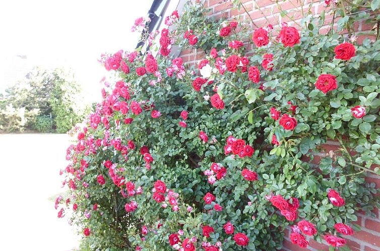 Vakantiehuis Ostseenahes, gemütliches Ferienhaus