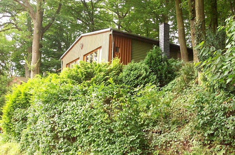 Die Natur umgibt das Waldhaus Hochstein, ein Ferienhaus in Voehl-Harbshausen, Hessen, ideal fuer einen ruhigen Urlaub.