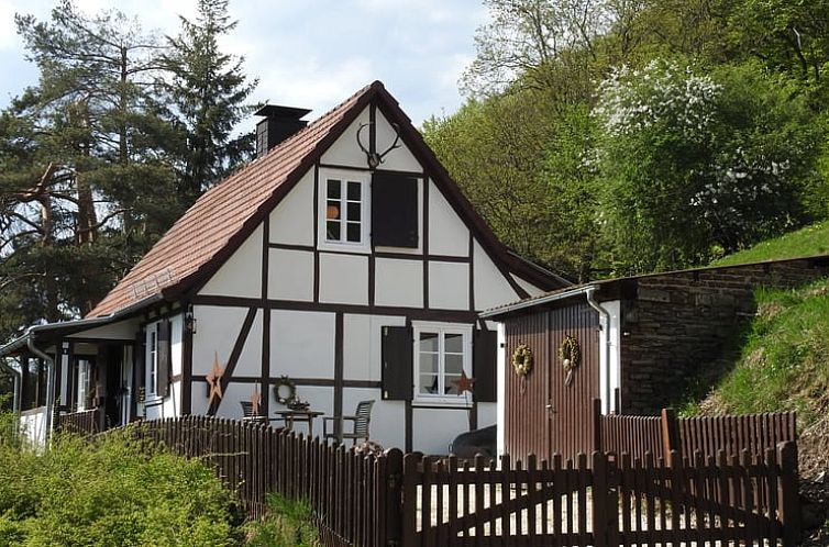 Vakantiehuis in Diemelsee-Flechtdorf, Hessen, biedt landelijke charme en serene omgeving.