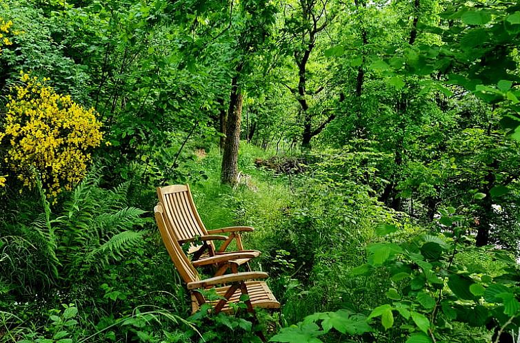 Vakantiehuis in Hatzfeld