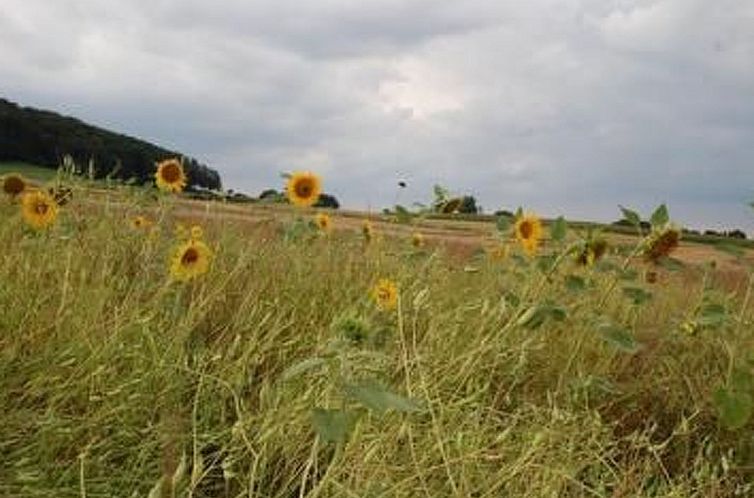 Vakantiehuis Landleben