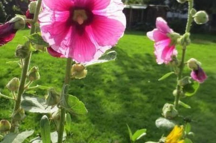 Vakantiehuis Landleben