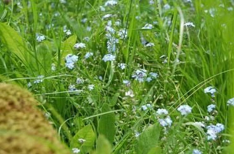 Vakantiehuis Landleben