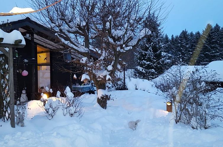 Vakantiehuis Amselnest