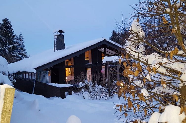 Vakantiehuis Amselnest