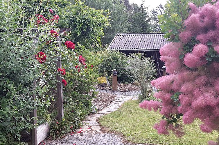 Vakantiehuis Amselnest